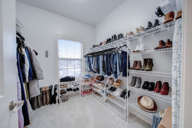 spacious closet featuring carpet