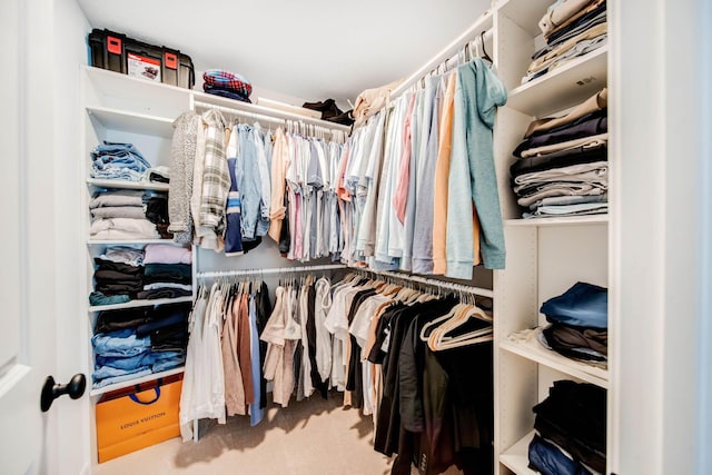 spacious closet featuring light colored carpet