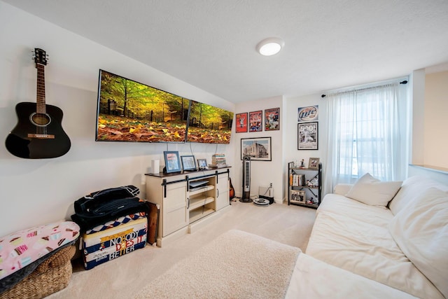 living room with light carpet and a textured ceiling