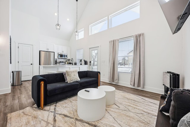 living room featuring a high ceiling, wood-type flooring, and sink