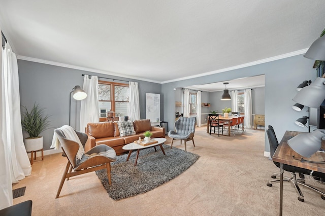 living room with crown molding and light carpet