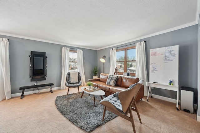 living room featuring crown molding, light colored carpet, and a textured ceiling