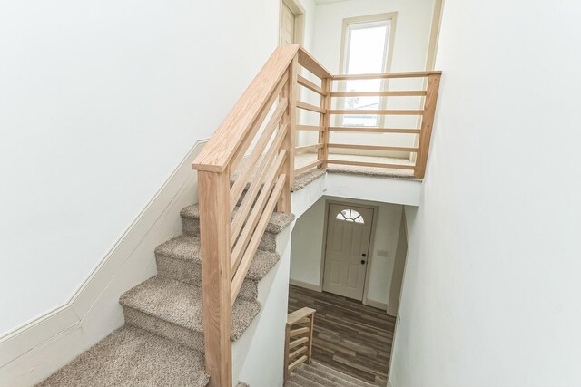 staircase with hardwood / wood-style floors