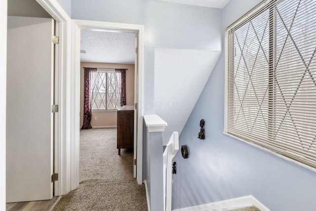 staircase with carpet flooring and a textured ceiling