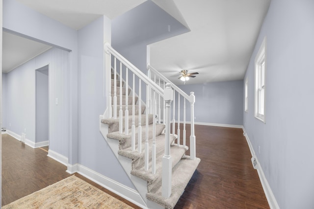 stairs with hardwood / wood-style flooring and ceiling fan