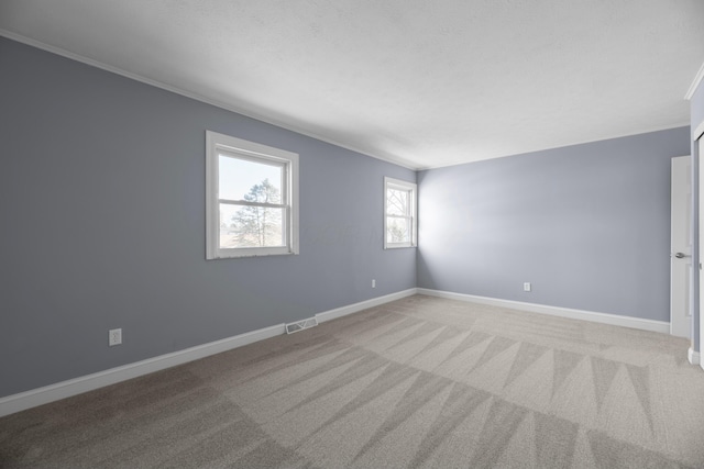 spare room featuring carpet flooring and crown molding