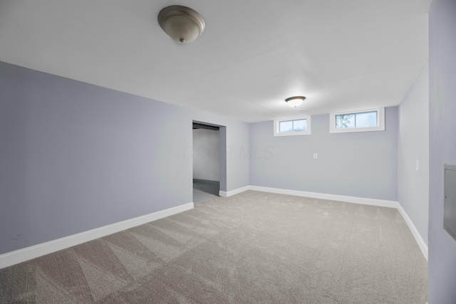 basement featuring carpet floors