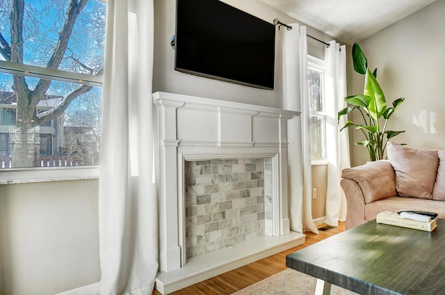 living room with hardwood / wood-style floors