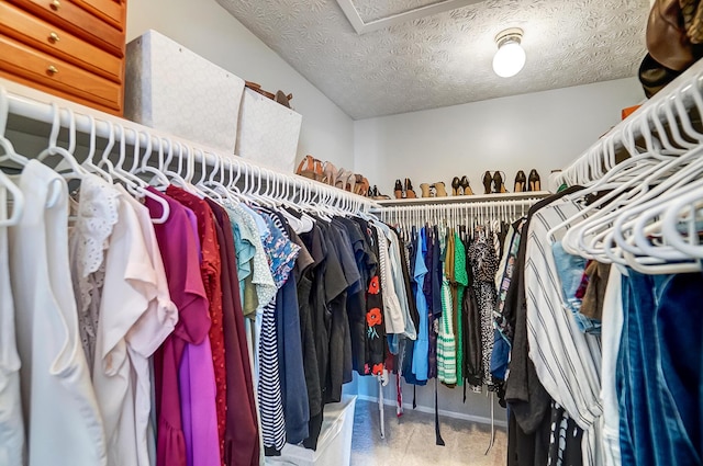 view of spacious closet