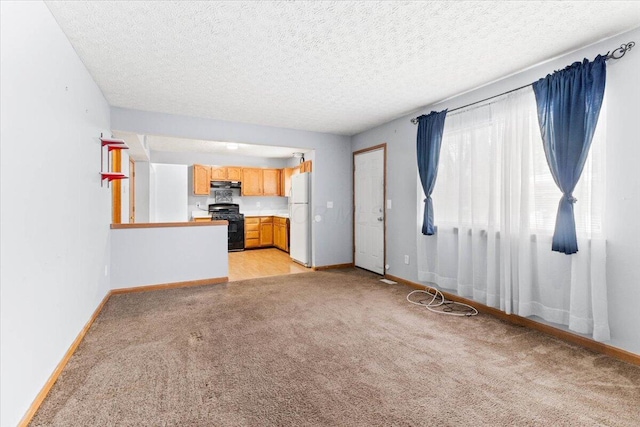 unfurnished living room featuring light carpet and a textured ceiling