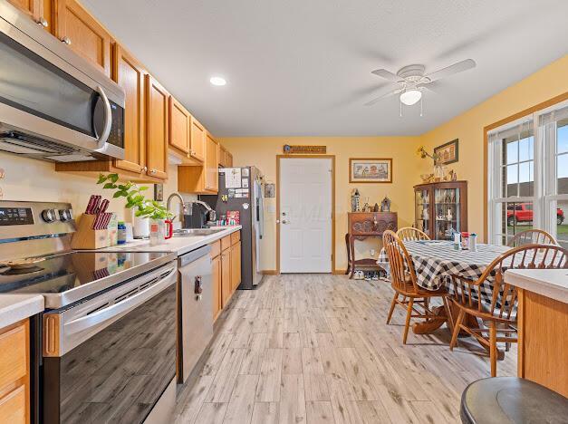 kitchen with ceiling fan, light wood-type flooring, sink, and appliances with stainless steel finishes