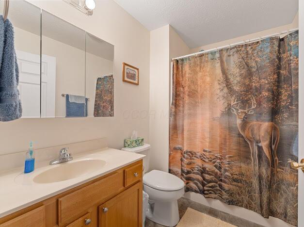 bathroom featuring vanity, a textured ceiling, and toilet