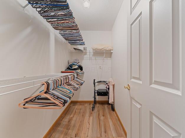 walk in closet featuring light hardwood / wood-style flooring