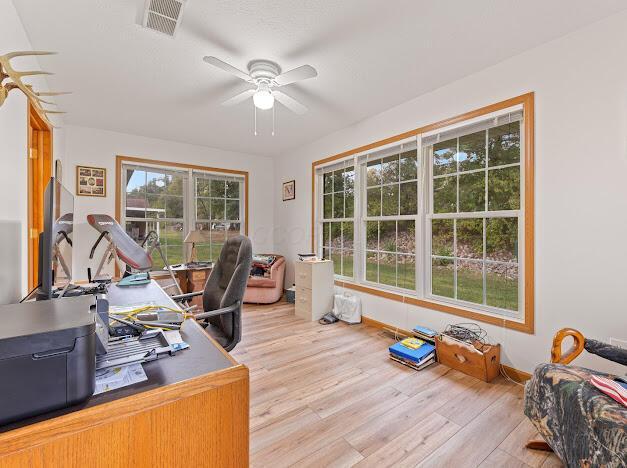 office area featuring ceiling fan and light wood-type flooring