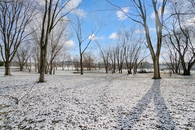 view of yard covered in snow