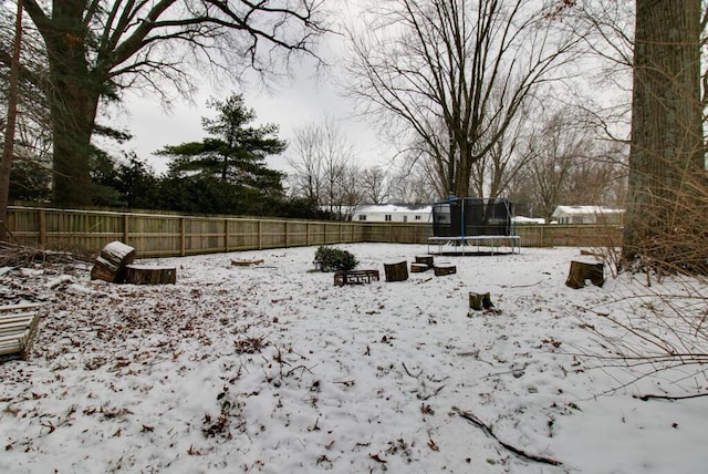 snowy yard with a trampoline