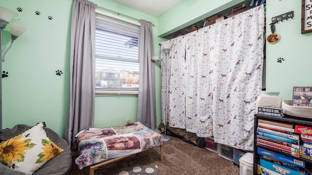 bedroom featuring carpet flooring