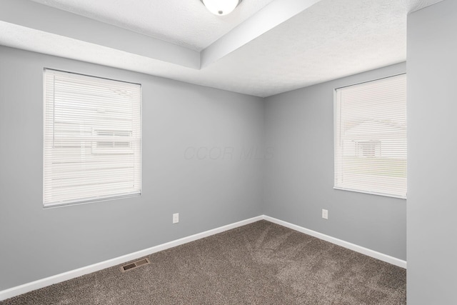 carpeted empty room featuring a healthy amount of sunlight and a textured ceiling