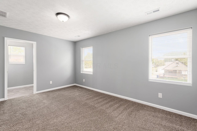 empty room with carpet flooring and a textured ceiling