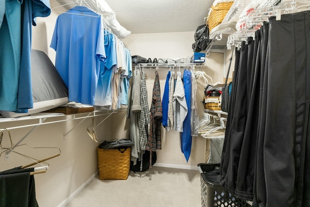 spacious closet with carpet flooring