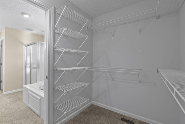 spacious closet with carpet flooring