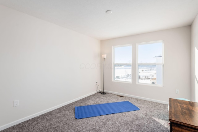 workout area with carpet flooring