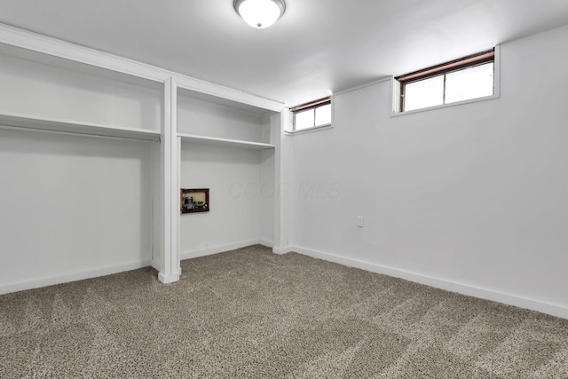 basement featuring carpet floors