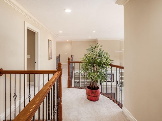 hall with crown molding and carpet flooring