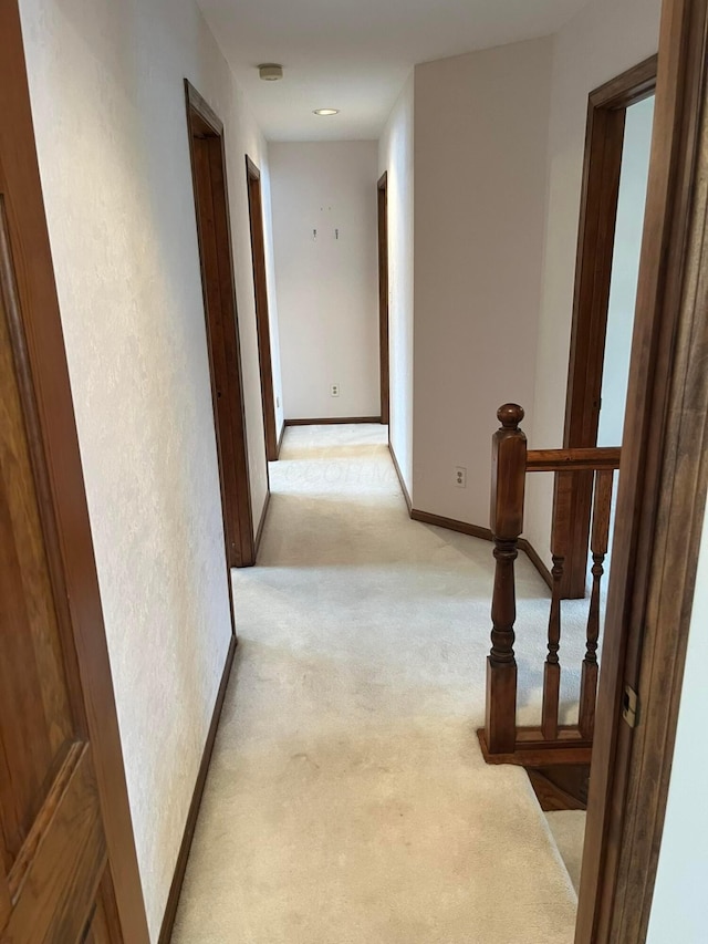 hallway with light carpet