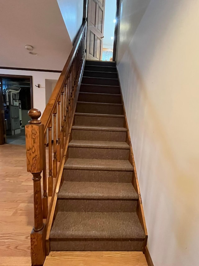 stairs with hardwood / wood-style floors