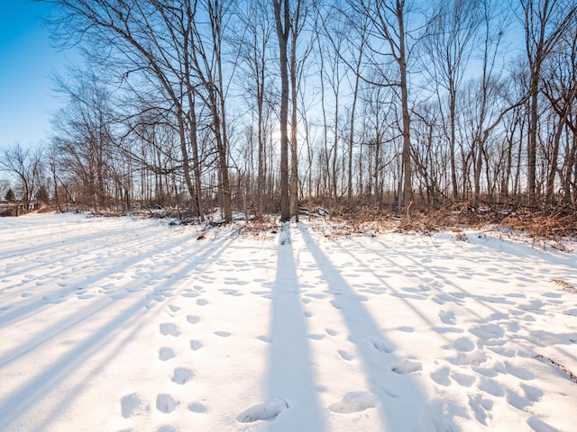 view of yard layered in snow