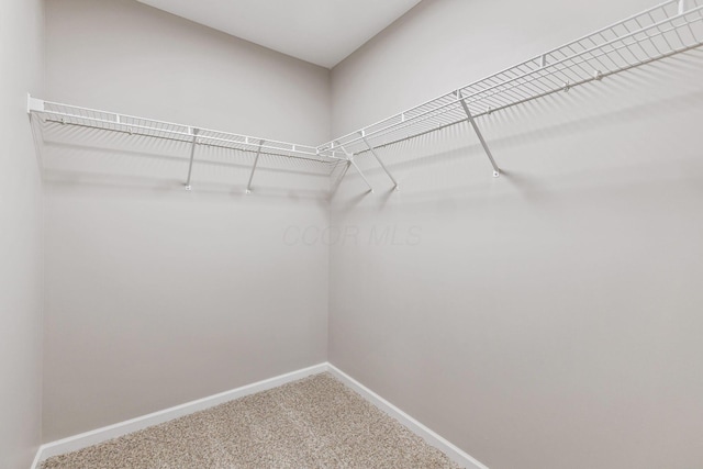 spacious closet with carpet floors