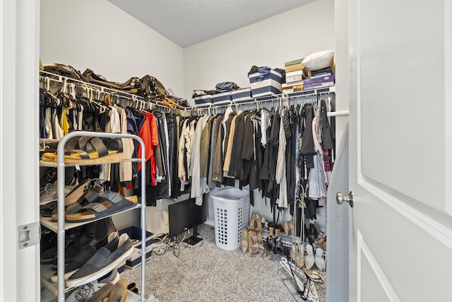 spacious closet featuring carpet floors