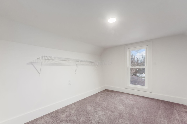 walk in closet with lofted ceiling and carpet floors