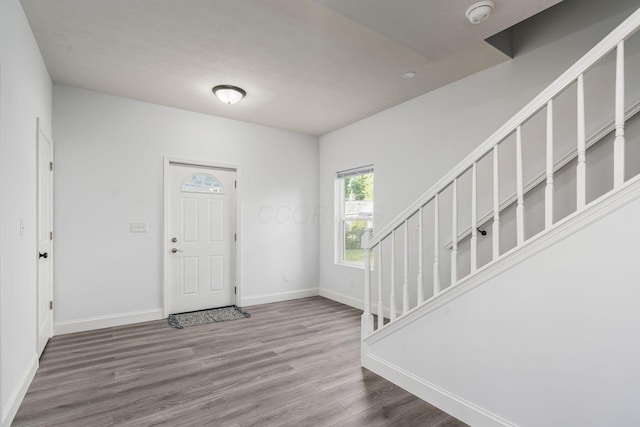 foyer with wood-type flooring