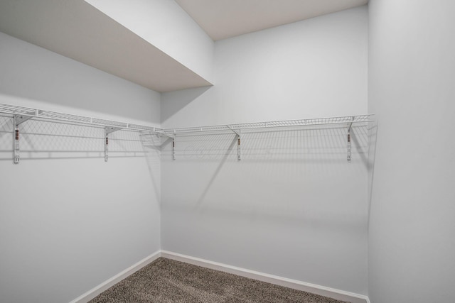 walk in closet with carpet