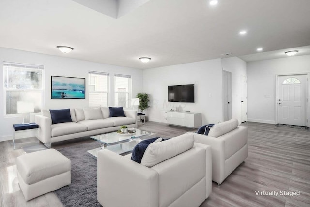 living room featuring wood-type flooring