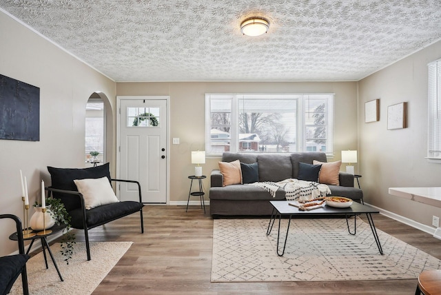 living room featuring hardwood / wood-style floors