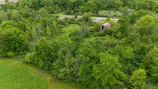 18656 W Darby Rd, Marysville, OH 43040 - photo 4