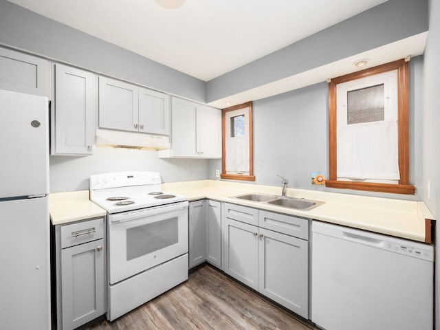 kitchen featuring hardwood / wood-style floors, gray cabinets, white appliances, and sink