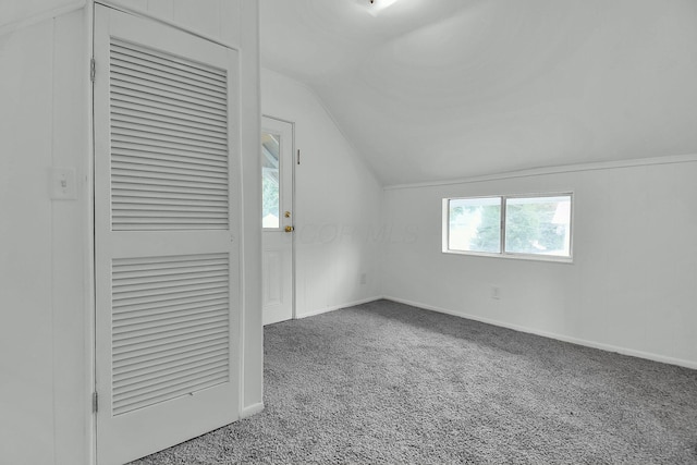 additional living space with carpet flooring and vaulted ceiling