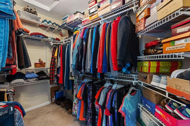 spacious closet with carpet floors