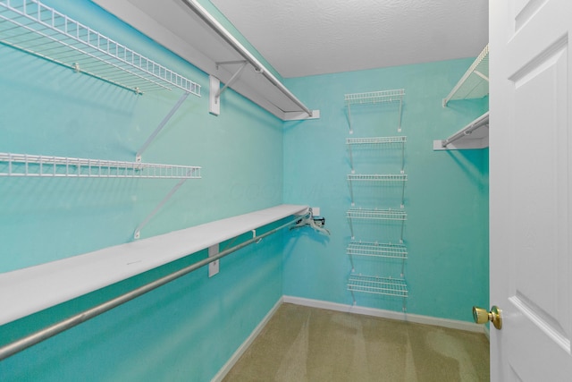 spacious closet featuring carpet floors