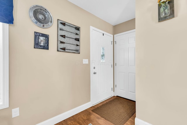 entrance foyer featuring wood-type flooring