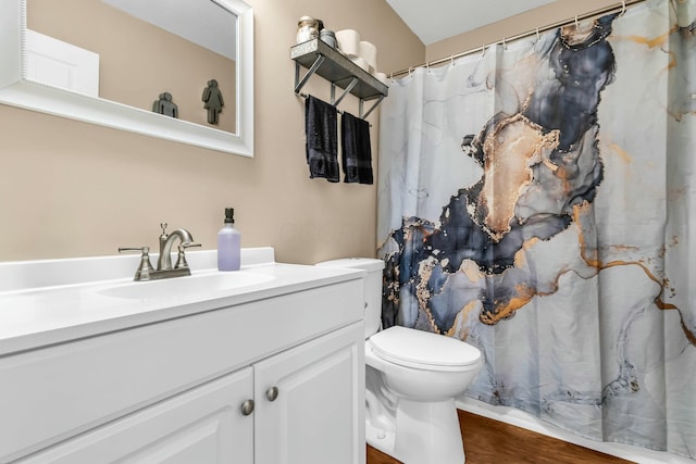 bathroom with vanity, hardwood / wood-style flooring, and toilet