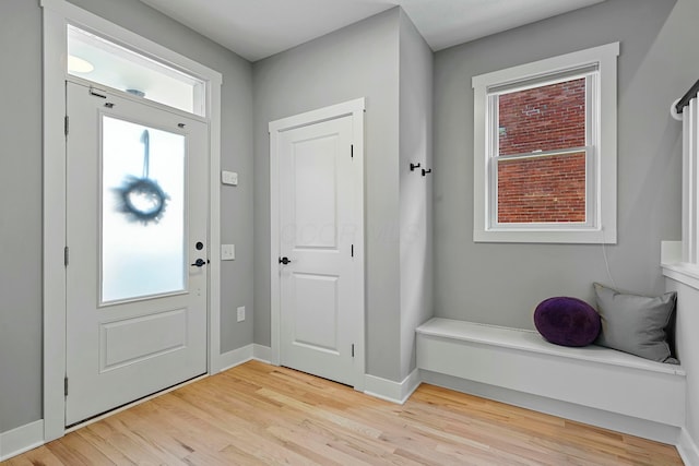 foyer with a wealth of natural light and light hardwood / wood-style flooring