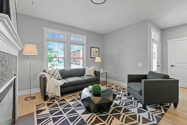 living room with hardwood / wood-style flooring