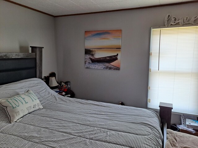 bedroom featuring multiple windows and crown molding