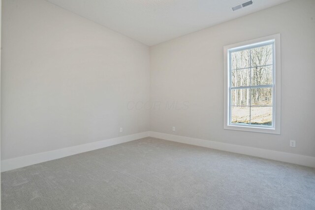 carpeted spare room featuring a wealth of natural light