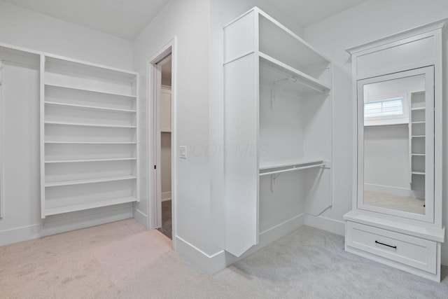 walk in closet with light colored carpet